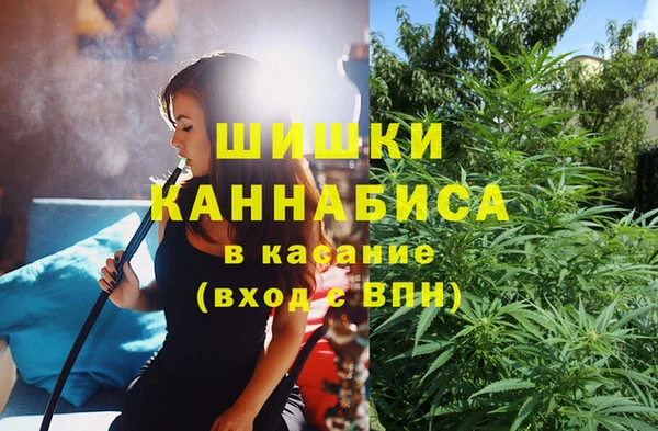 дурь Арсеньев