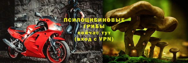 дмт Армянск